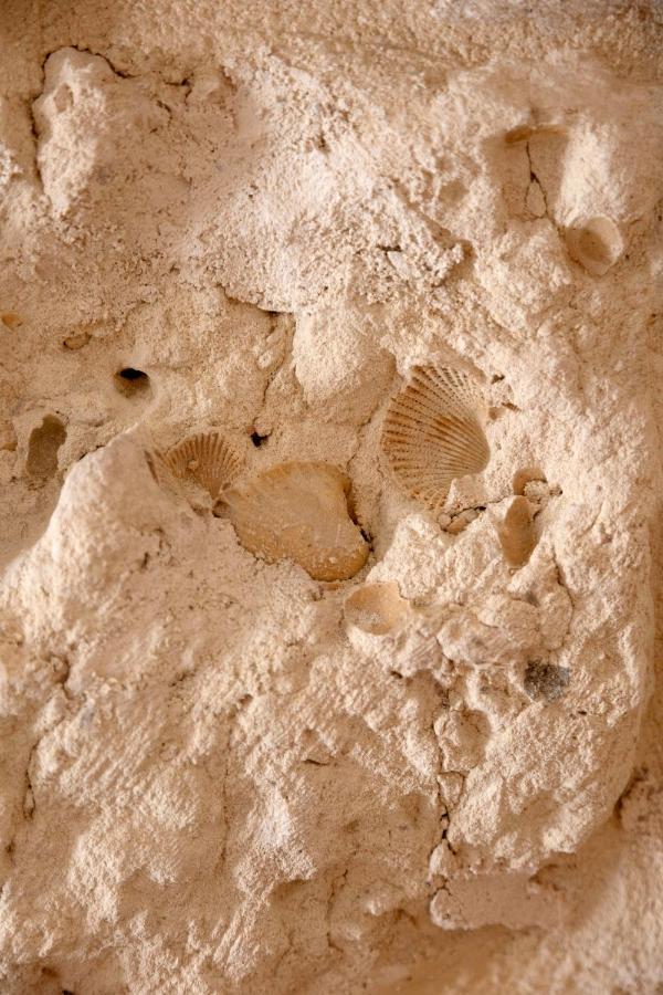 מלון ברינדיזי Apulian House מראה חיצוני תמונה